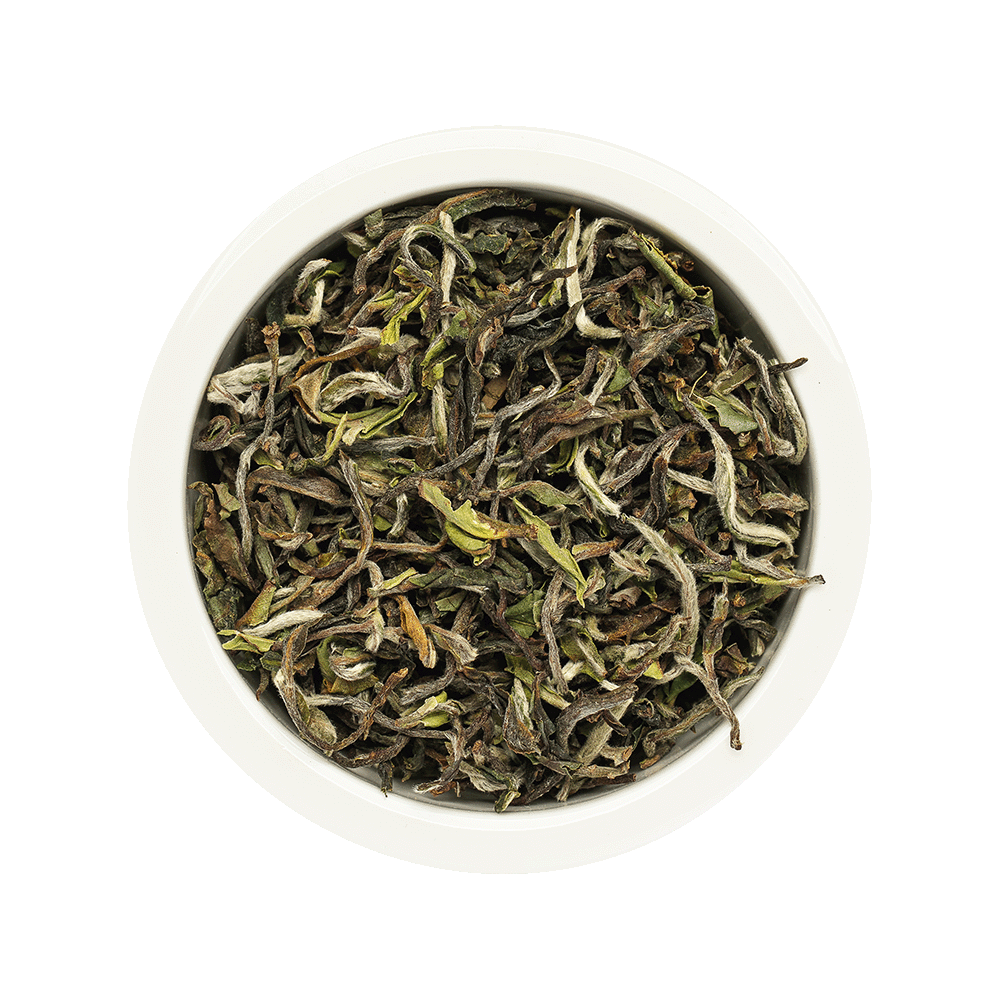 tea-image